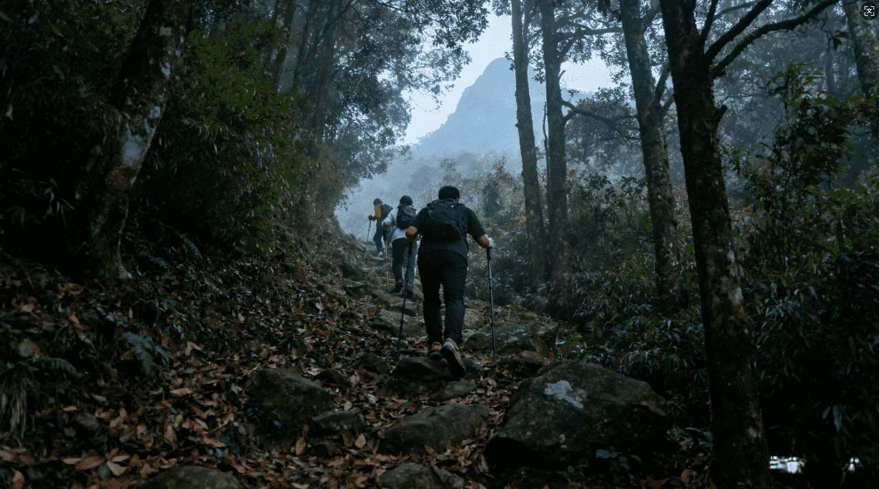 选择蘑菇加速器的原因及常见使用场景
